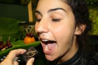 MadCityZen bouscule les habitudes alimentaires avec une animation gastronomique hors du commun. | © MadCityZen